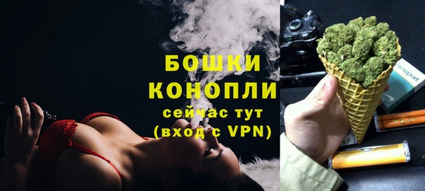стафф Дмитриев