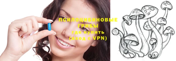 стафф Дмитриев