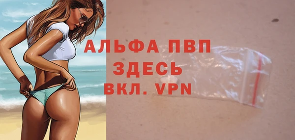 стафф Дмитриев