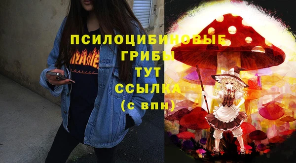 стафф Дмитриев