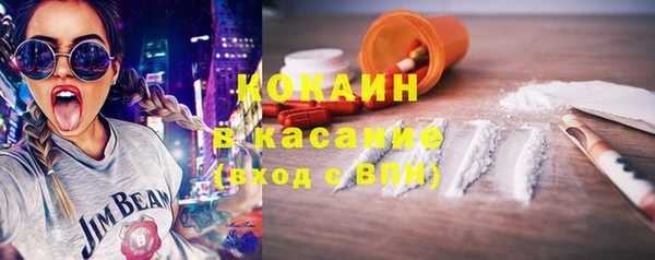 стафф Дмитриев